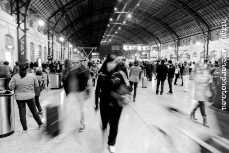 Estación del Norte, 2014