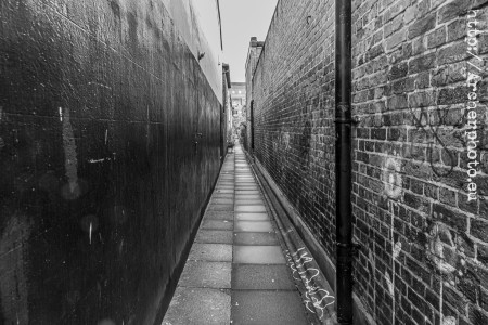 Trafalgar Terrace, Brighton, 2025